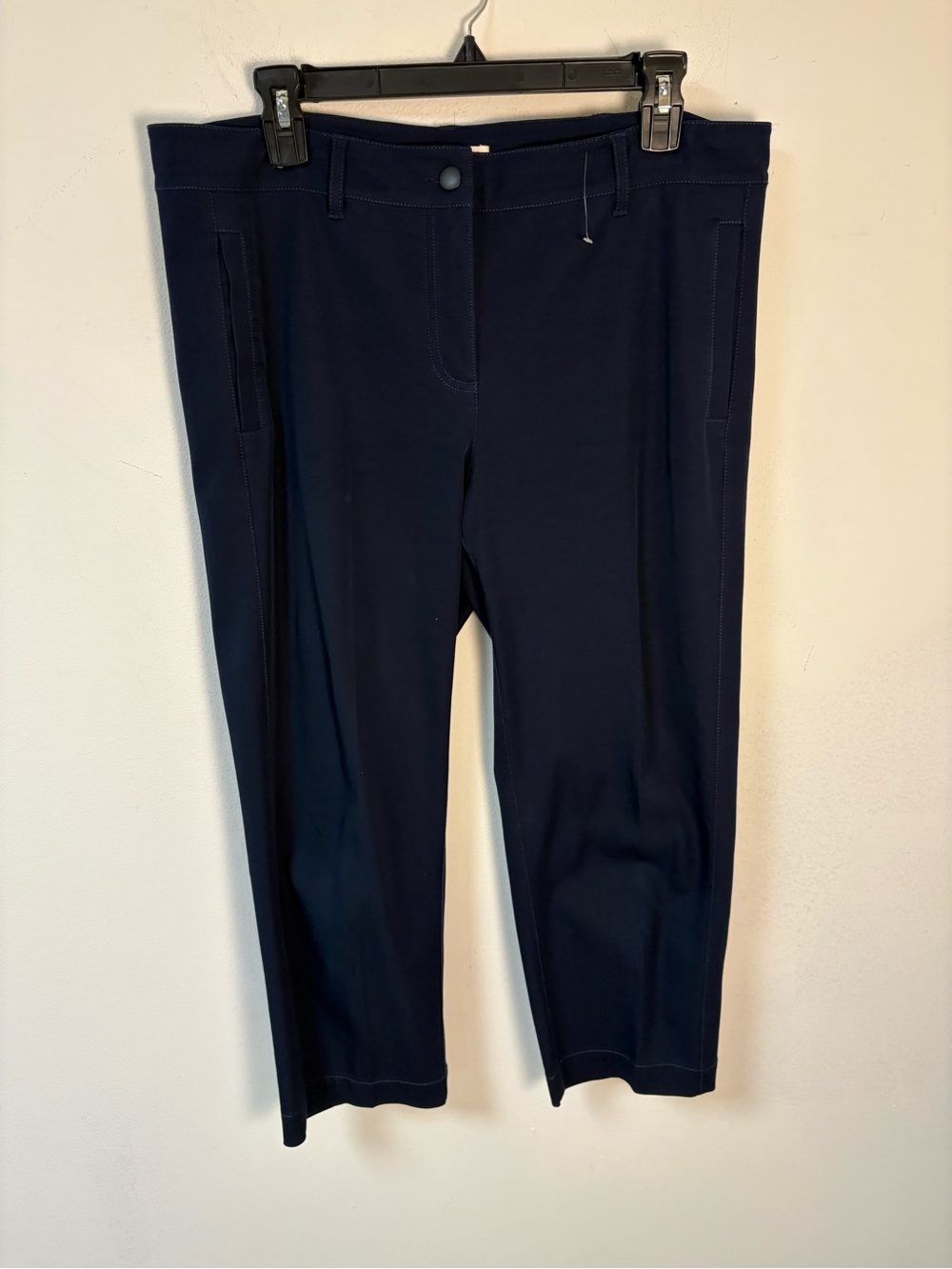 Eileen Fisher Womens Navy Ankle Pants Organic Cotton Medium